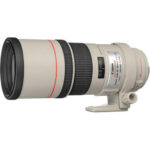 Canon EF 300mm f4 L IS USM