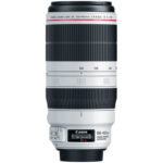 Canon EF 100-400 F4.5-5.6 L IS II USM