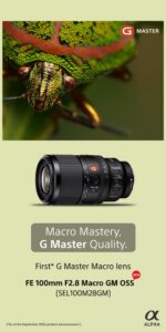 Sony FE 100MM F2.8 MACRO GM OSS (SEL100M28GM) - Image 4